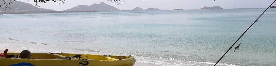 Kayak Rentals